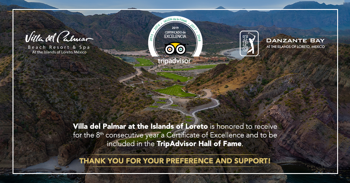 Villa Del Palmar Loreto Tripadvisor Wall Of Fame Villa Del Palmar Loreto Tripadvisor Wall Of Fame
