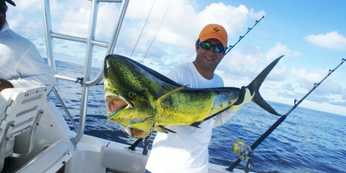 Temporada De Pesca En Loreto Baja Sur Mexico Temporada De Pesca En Loreto Baja Sur Mexico
