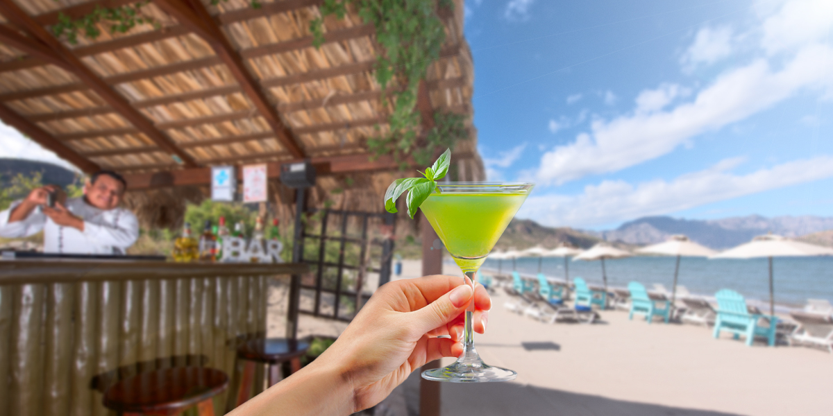 Concepto Farm To Bar En Villa Del Palmar Loreto