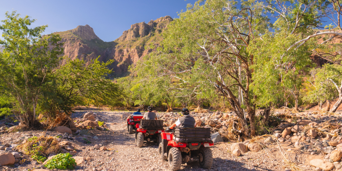 La Mejor Excursion En Cuatrimoto Atv En Loreto Bcs