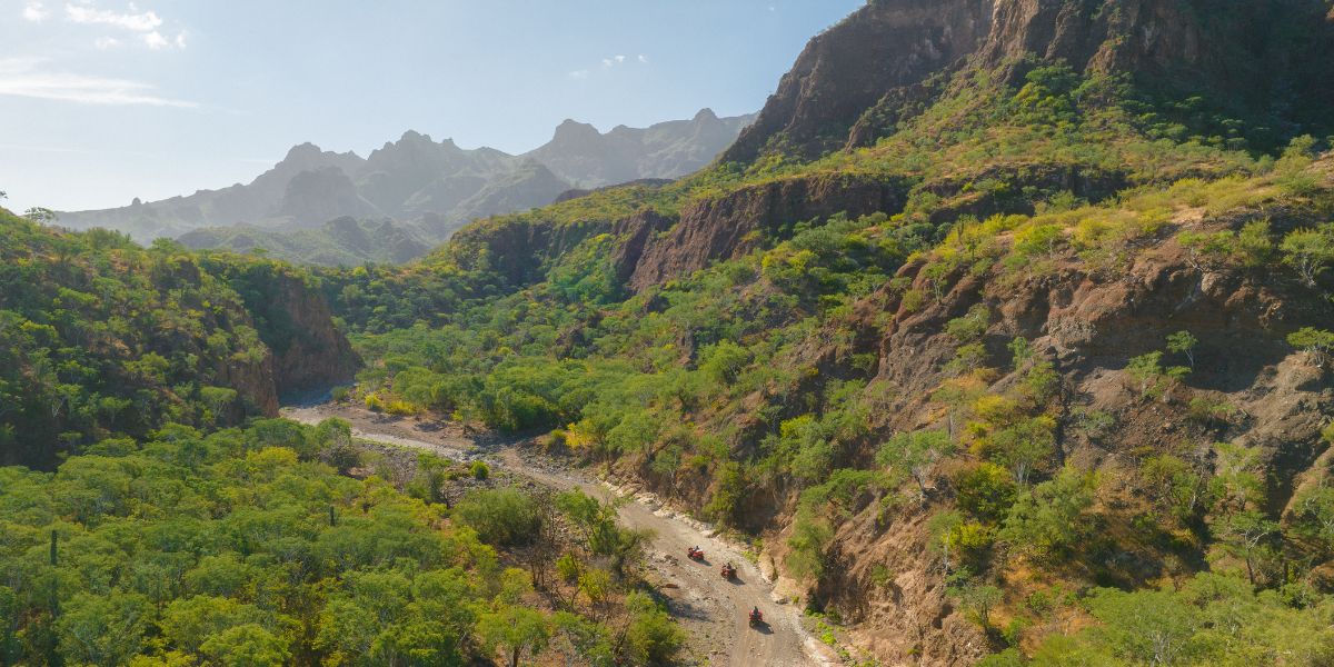Aventuras Por Tierra Explora Las Actividades Terrestres En Loreto