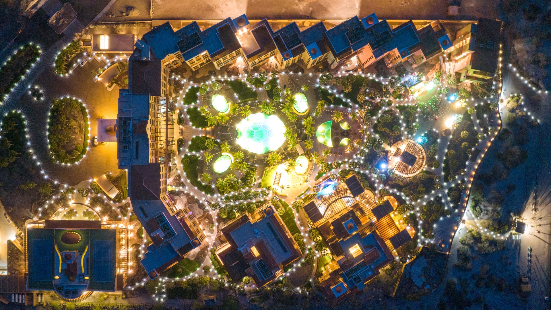 Dia De Accion De Gracias