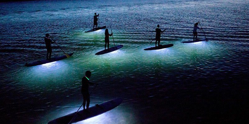Led Paddle Boarding In Danzante Bay Led Paddle Boarding In Danzante Bay
