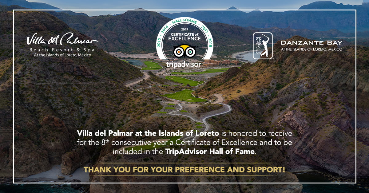 Villa Del Palmar Loreto Mexico Hotels Tripadvisor Wall Of Fame X Villa Del Palmar Loreto Mexico Hotels Tripadvisor Wall Of Fame X