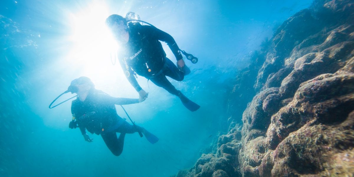 Dive Sites In Loreto Mexico