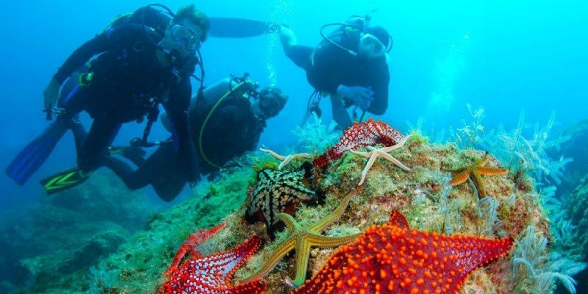 Loreto Mexico Days Itinerary Trip