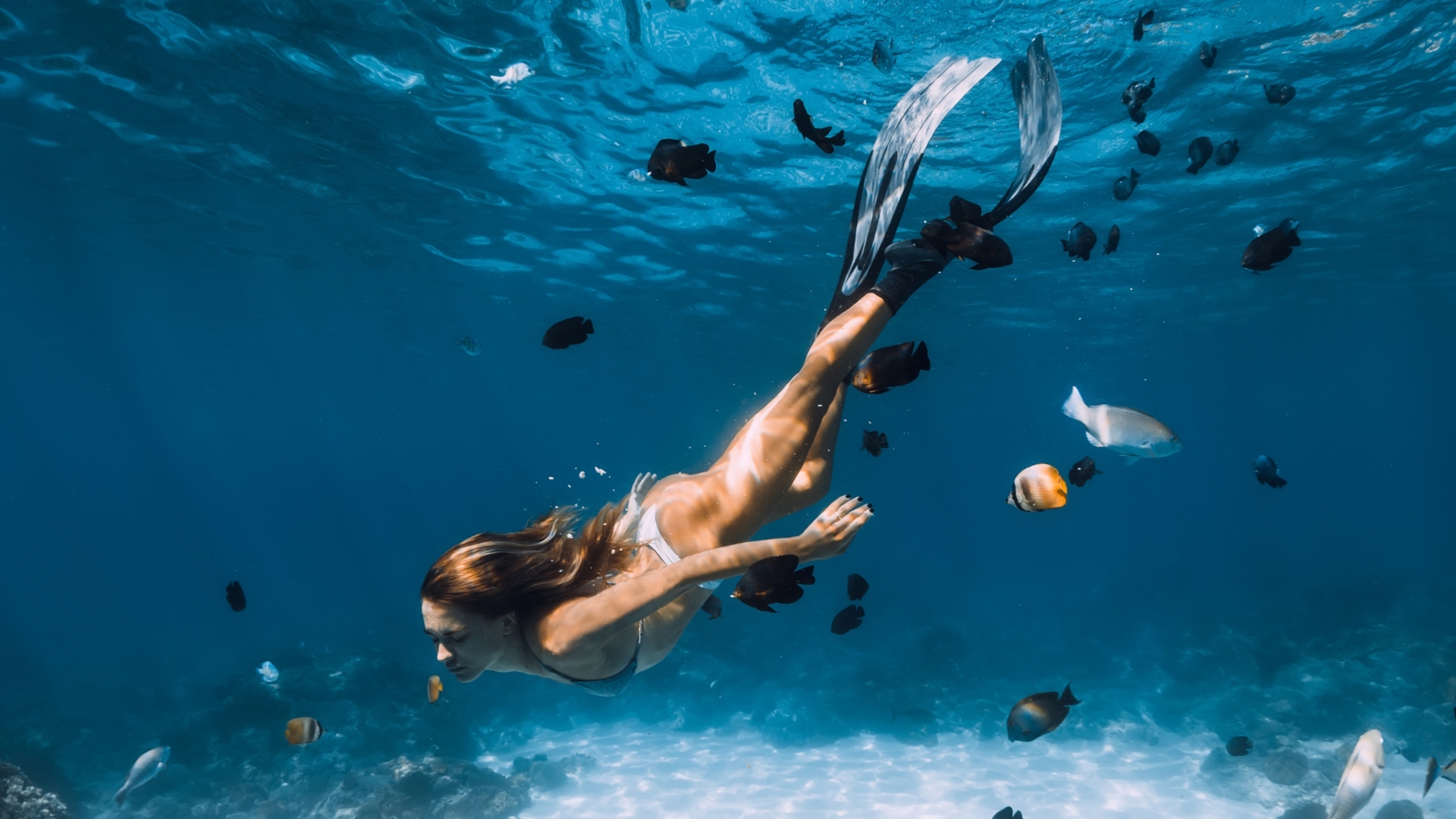 Spots For Snorkeling