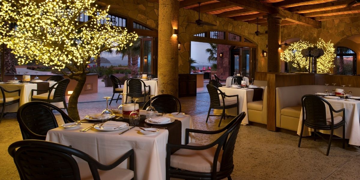 Winner Of Wine Spectators Danzante Fine Dining