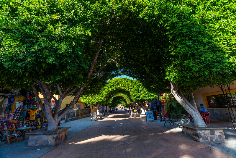 What Makes Loreto One Of Mexicos Magic Towns