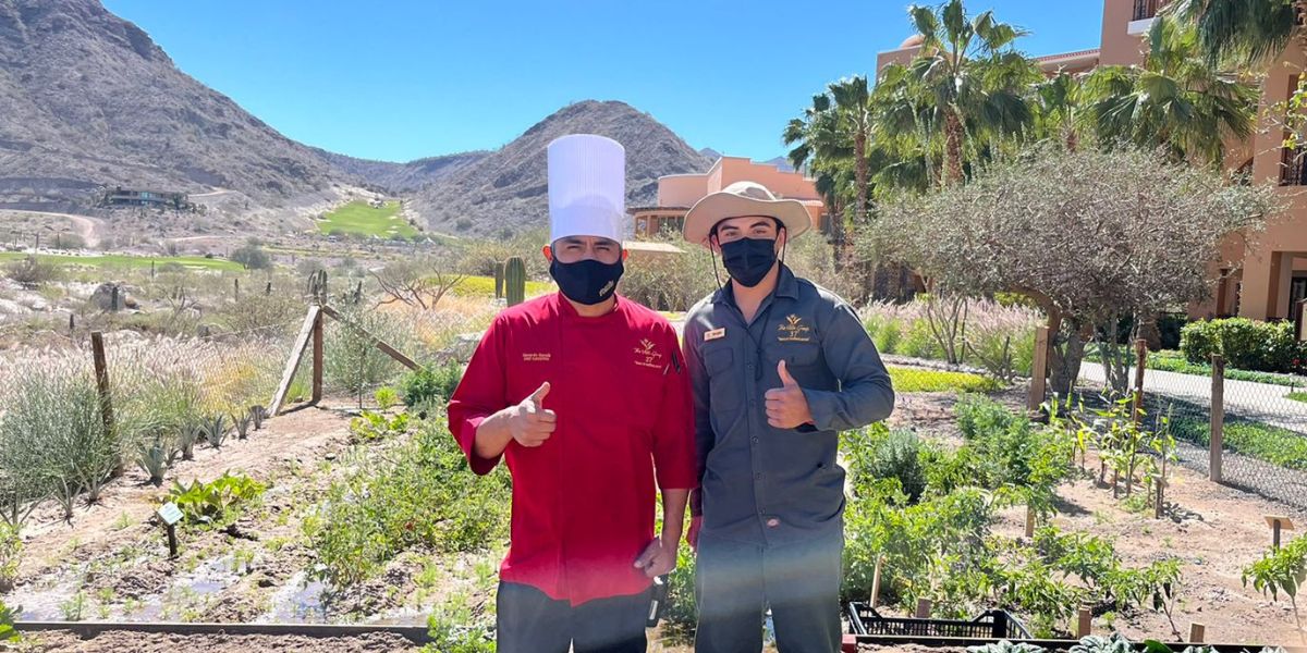 Sustainable Gardening At Villa Del Palmar At The Islands Of Loreto