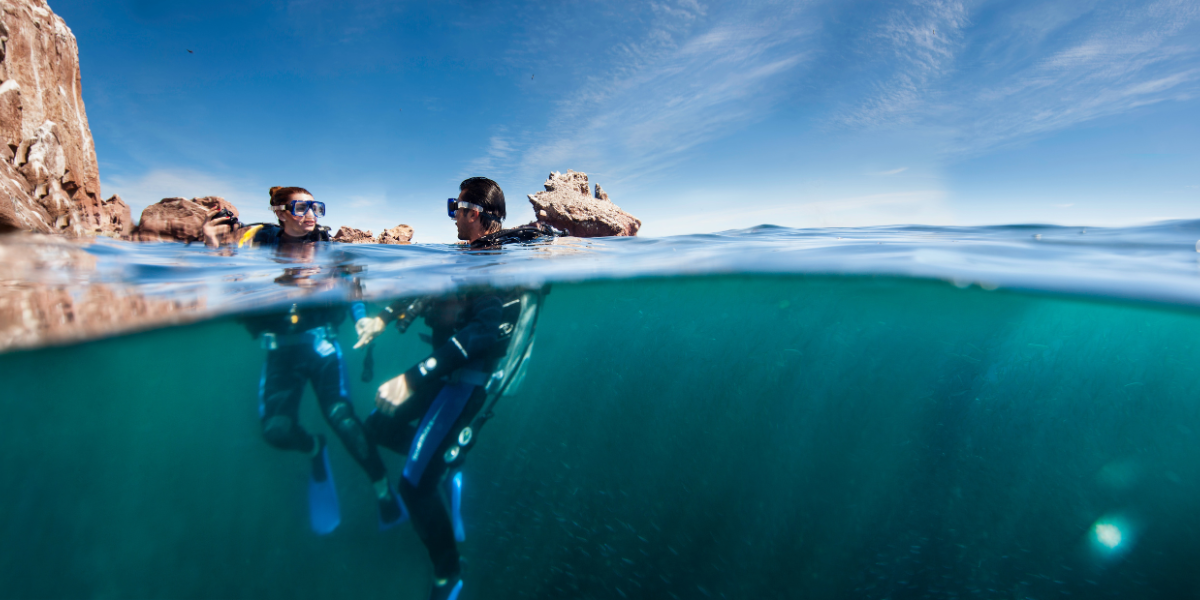 Scuba Diving In Loreto Baja California Sur Mexico Diving Adventure