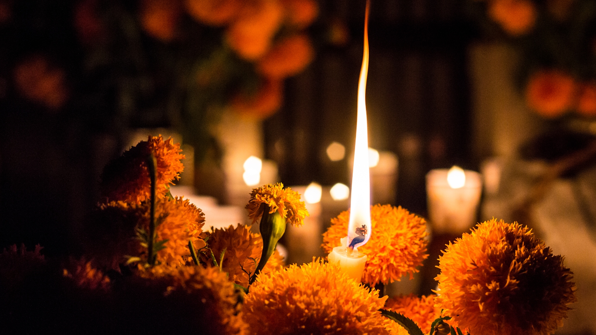 Day Of The Dead In Loreto