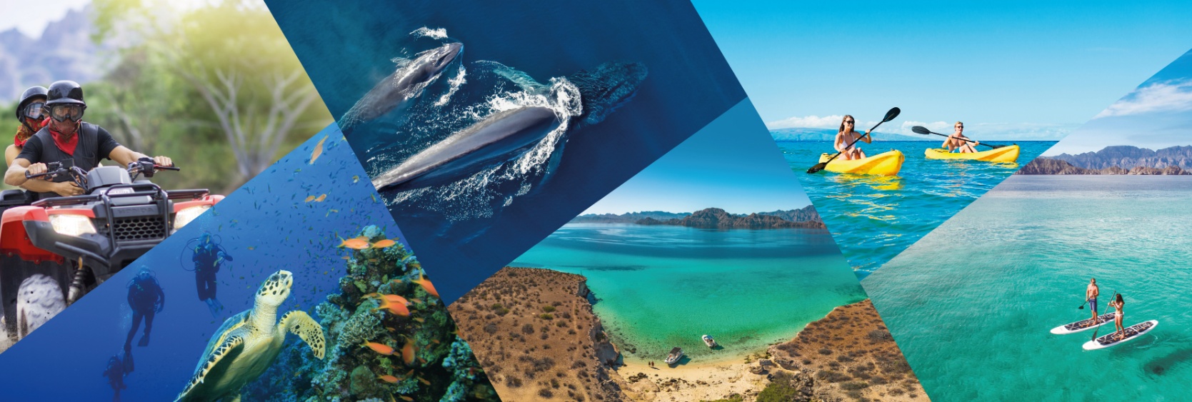 Tours and Excursions