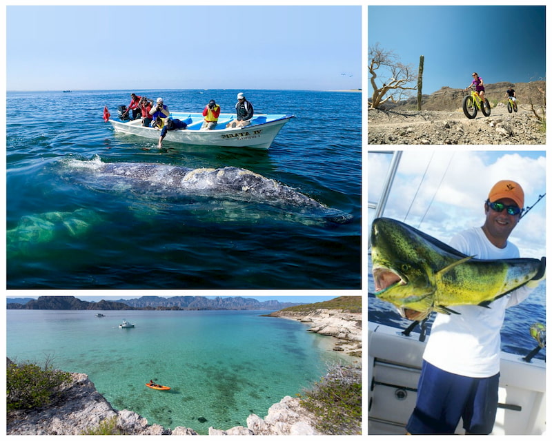 Things to Know Before You Go to Loreto Mexico Villa de Palmar Loreto