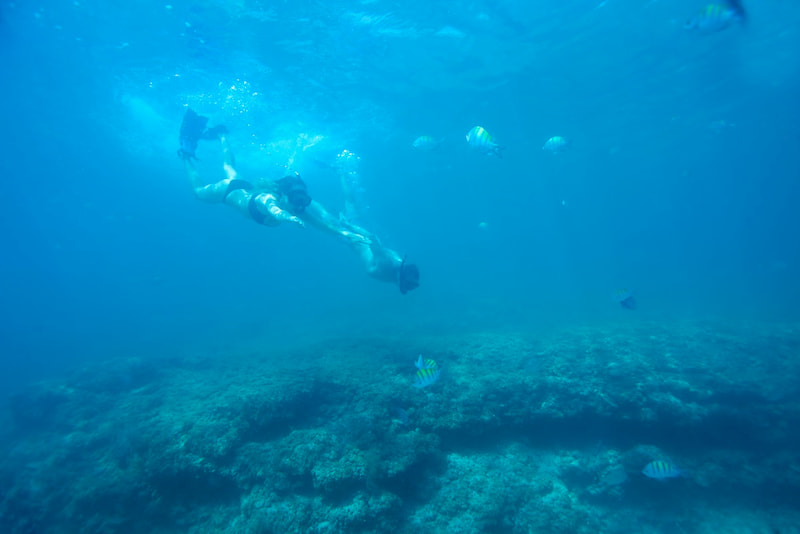 Snorkeling En Loreto Baja California Snorkeling En Loreto Baja California