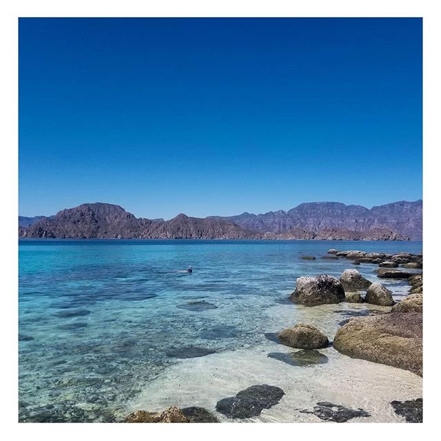Dazante Island Sea Of Cortez Dazante Island Sea Of Cortez