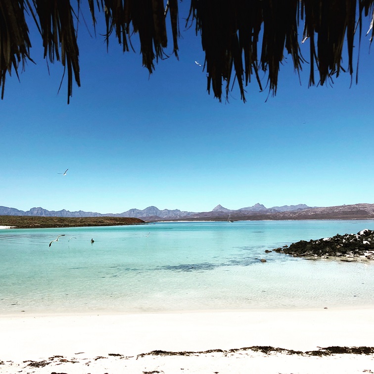 Playa En Islas De Loreto Mar De Cortes Playa En Islas De Loreto Mar De Cortes