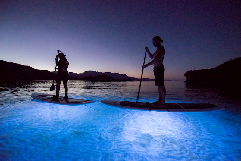 Villa Del Palmar Loreto Activities Led Paddle Board