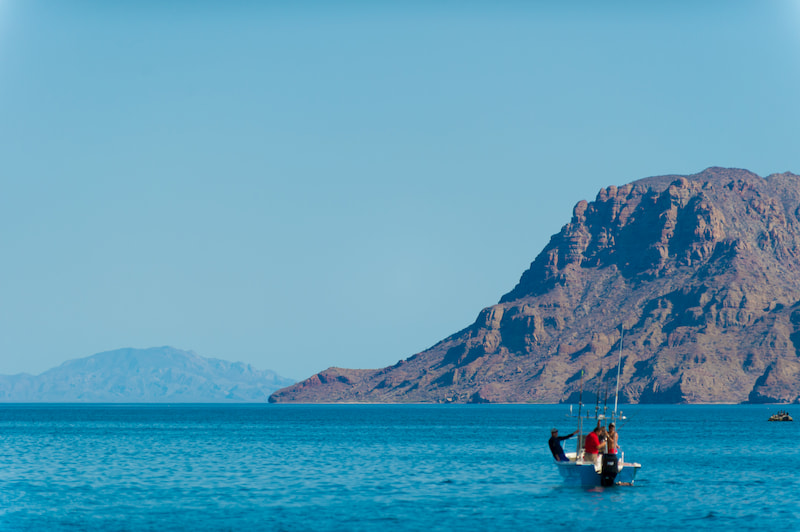 Sea Of Cortez Loreto Baja Mexico
