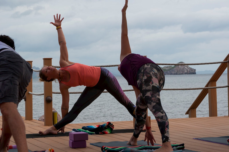 Retiros De Yoga En Villa Del Palmar Loreto Baja California