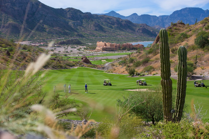 Golf Vacations At Tpc Danzante Bay Mexico