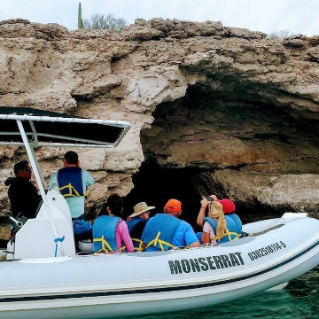 Superpods of Dolphins, Laid-Back Luxury Stay in Mexico