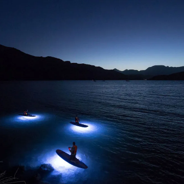 Where to go to experience the unspoiled beauty of Baja