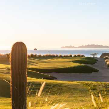TPC DANZANTE BAY JOINS TPC NETWORK’S GOLF COURSE PORTFOLIO