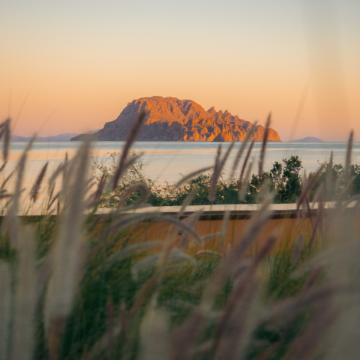One Month Baja Mexico Road Trip Itinerary