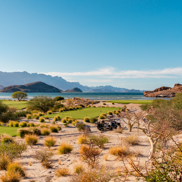 Villa del Palmar at The Islands of Loreto by Danzante Bay Appoints Rich Taylor as Director of Golf