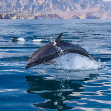 10 Luxury Resorts Leading the Way in Sustainability