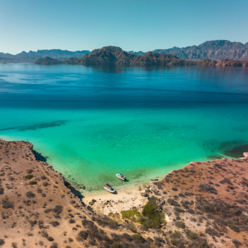 Destination of the Week: Danzante Bay