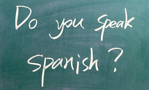 Villa Del Palmar Loreto Spanish Lesson Villa Del Palmar Loreto Spanish Lesson