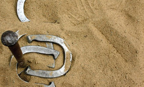 Villa Del Palmar Loreto Horseshoes Villa Del Palmar Loreto Horseshoes