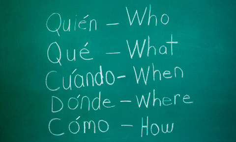 Villa Del Palmar Loreto Spanish Lesson