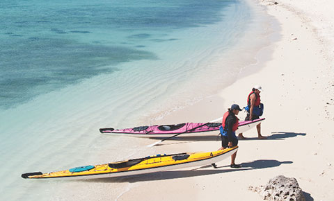 Villa Del Palmar Loreto Kayak Lesson Villa Del Palmar Loreto Kayak Lesson