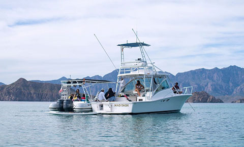 Villa Del Palmar Loreto Diving Villa Del Palmar Loreto Diving