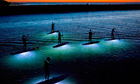 Villa Del Palmar Loreto Led Villa Del Palmar Loreto Led