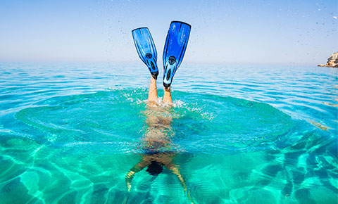 Villa Del Palmar Loreto Snorkeling Villa Del Palmar Loreto Snorkeling