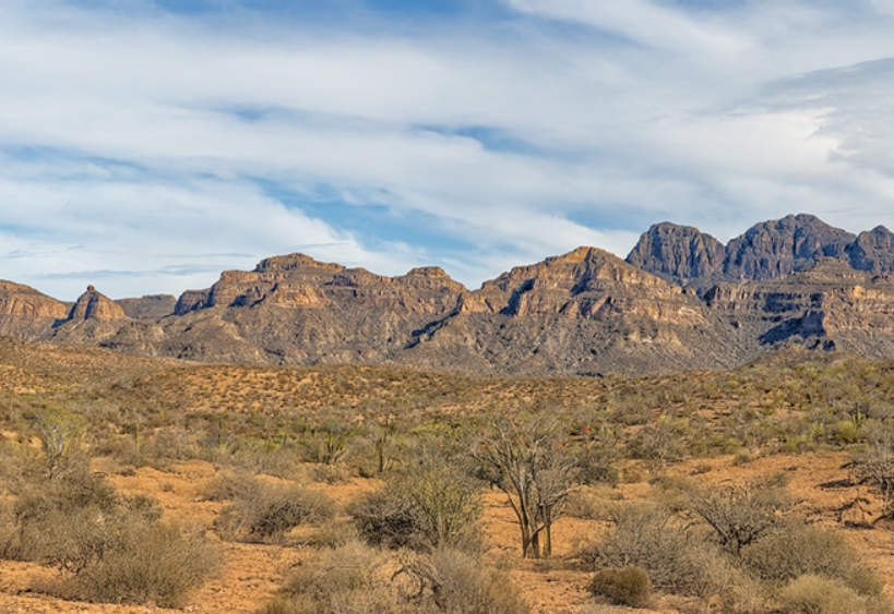 Platform Landing   Islands Experience