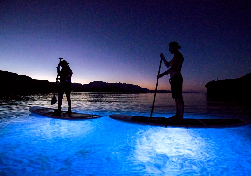 Twilight Led Paddle Board