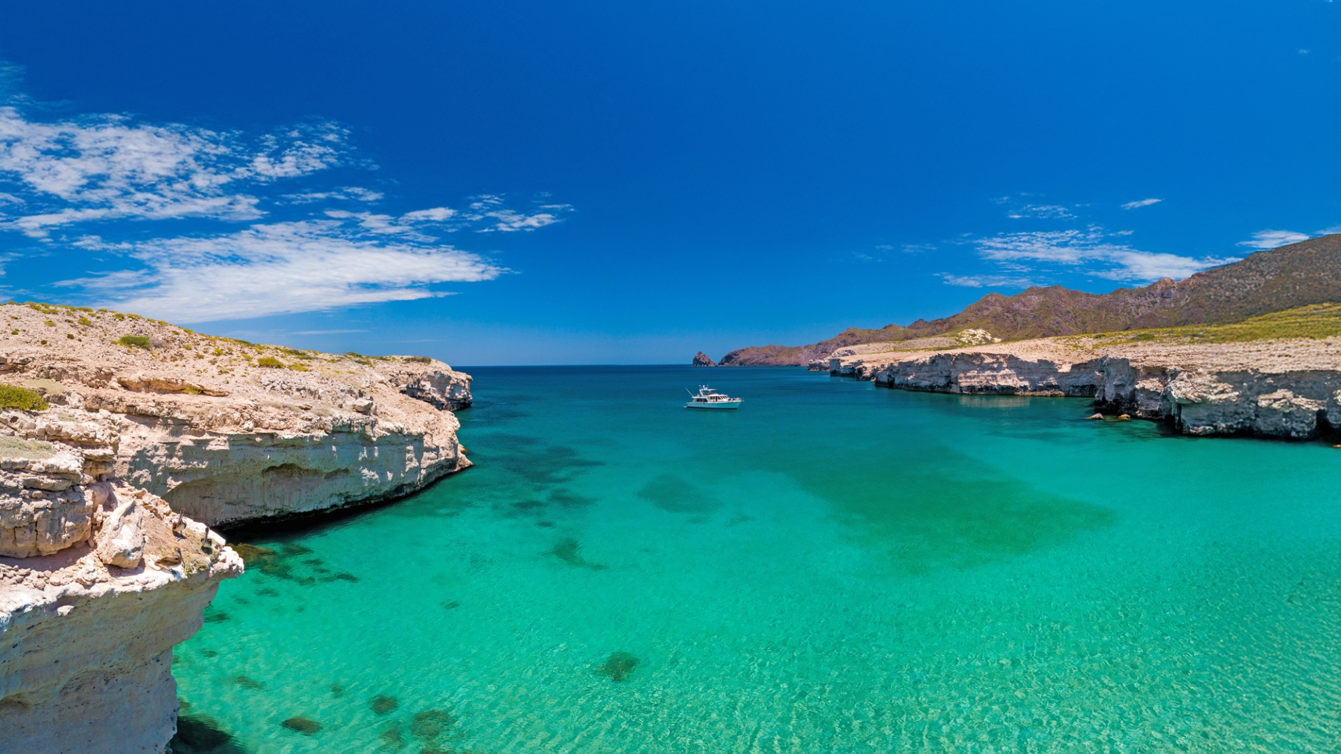 Preventa De Primavera