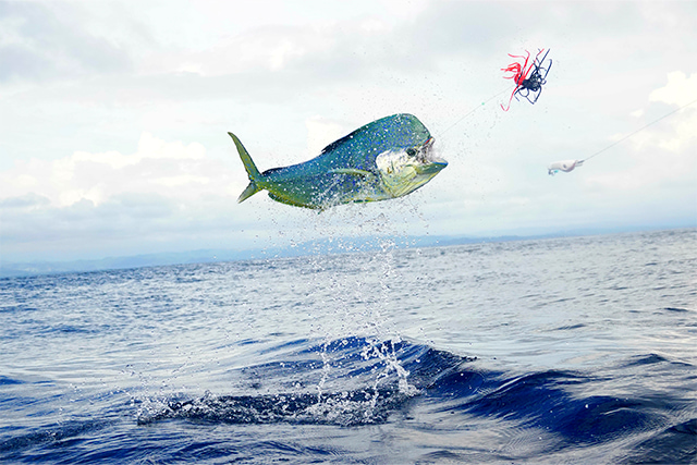 Optimizada 640 427 fishingtournaments 2022