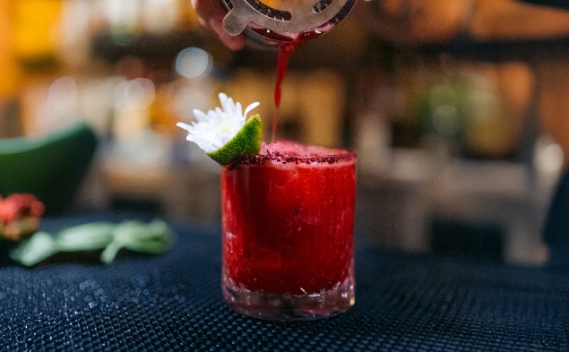  FAMILY-FRIENDLY ALL-INCLUSIVE VACATIONS IN LORETO, MEXICO